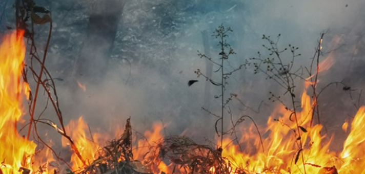 Cambiamenti climatici: il 2022 è stato il secondo anno con più incendi boschivi