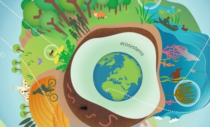 A un anno dall’adozione del quadro globale della COP15 sulla biodiversità, l’UE è in prima linea nell’attuazione