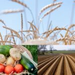 Agricoltori europei esentati da norme sui terreni a riposo