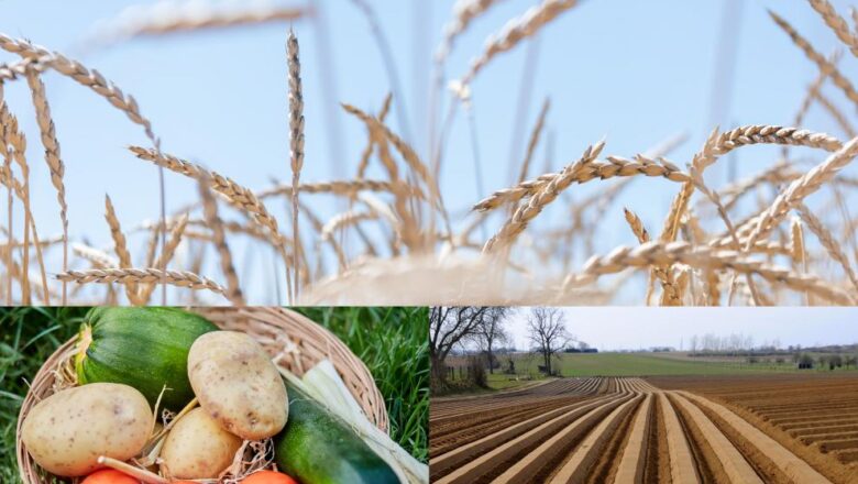La nuova indagine Eurobarometro evidenzia un forte sostegno per la politica agricola comune (PAC)