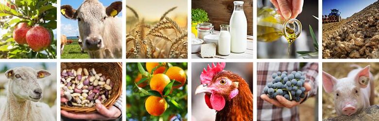 Nominati i membri del comitato europeo per l’agricoltura e l’alimentazione, a seguito del dialogo strategico sul futuro dell’agricoltura nell’UE