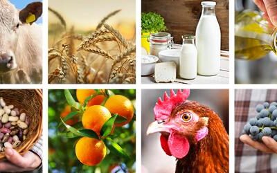 Le esportazioni agroalimentari dell’UE hanno raggiunto un livello record di 235,4 miliardi di € nel 2024